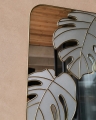 monstera 5a.jpg